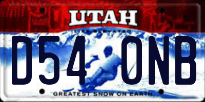 UT license plate D540NB