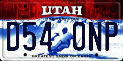 UT license plate D540NP
