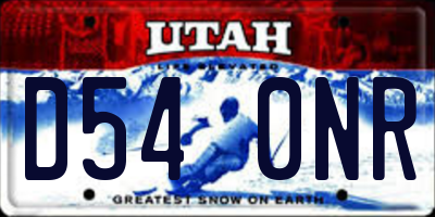 UT license plate D540NR