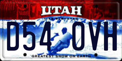 UT license plate D540VH