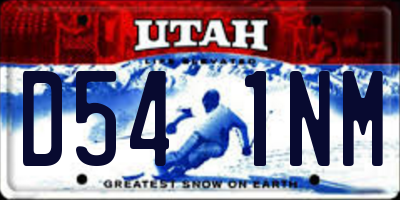 UT license plate D541NM
