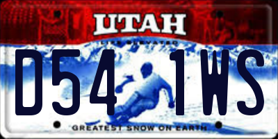 UT license plate D541WS