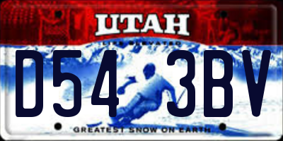 UT license plate D543BV