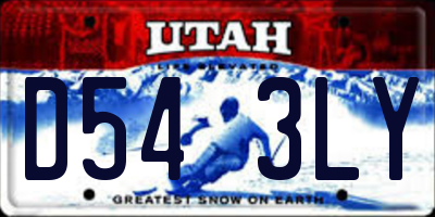 UT license plate D543LY