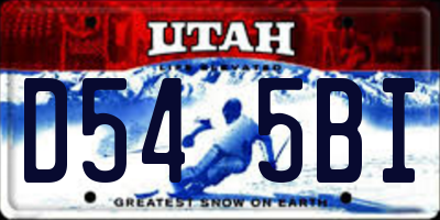 UT license plate D545BI