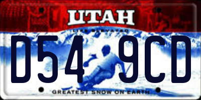 UT license plate D549CD