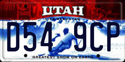 UT license plate D549CP