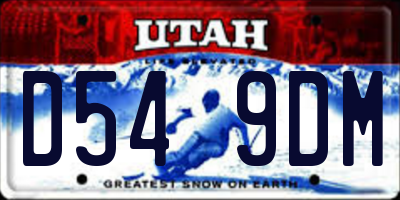 UT license plate D549DM