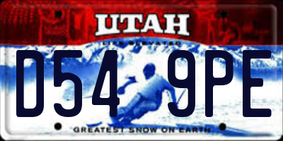 UT license plate D549PE