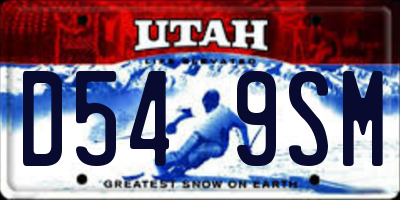 UT license plate D549SM
