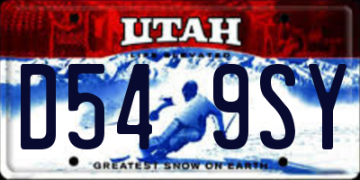 UT license plate D549SY