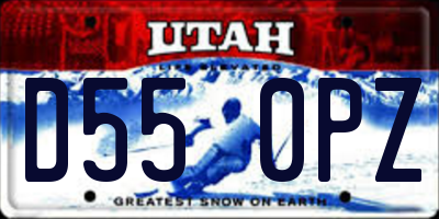 UT license plate D550PZ