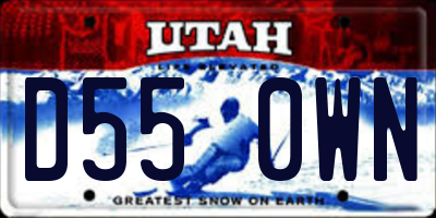 UT license plate D550WN