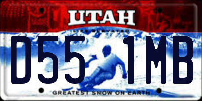 UT license plate D551MB