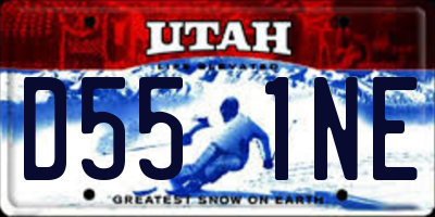 UT license plate D551NE