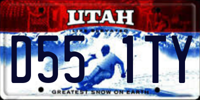 UT license plate D551TY