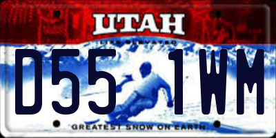 UT license plate D551WM