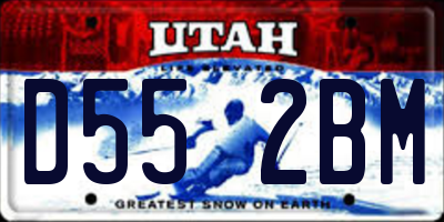 UT license plate D552BM