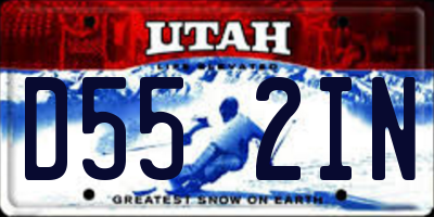 UT license plate D552IN
