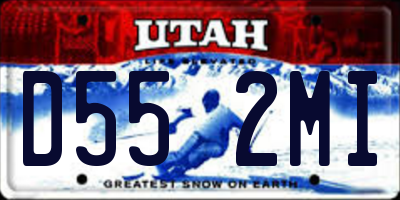 UT license plate D552MI