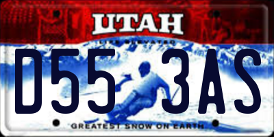 UT license plate D553AS