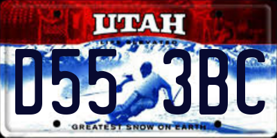UT license plate D553BC