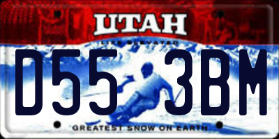 UT license plate D553BM