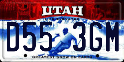 UT license plate D553GM