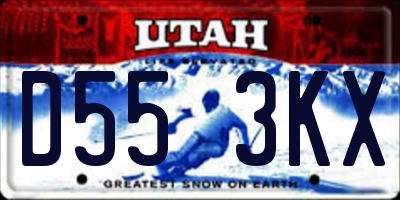 UT license plate D553KX
