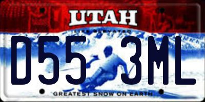 UT license plate D553ML