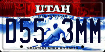 UT license plate D553MM