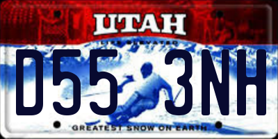 UT license plate D553NH