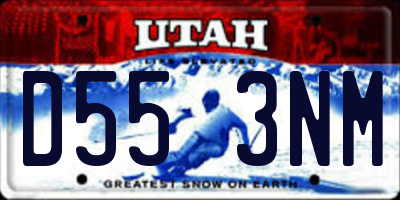 UT license plate D553NM