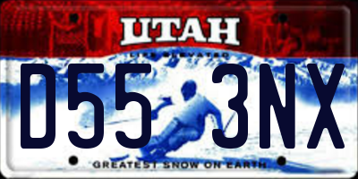 UT license plate D553NX