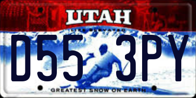 UT license plate D553PY