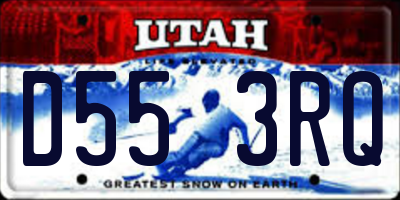 UT license plate D553RQ