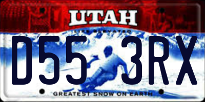 UT license plate D553RX