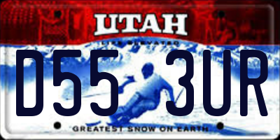 UT license plate D553UR