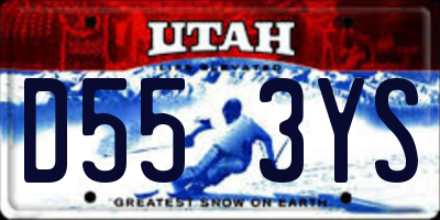 UT license plate D553YS