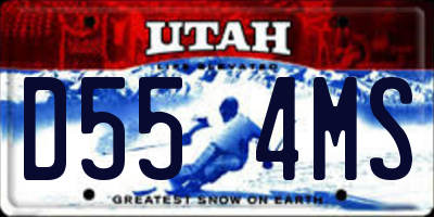 UT license plate D554MS