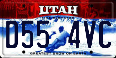 UT license plate D554VC
