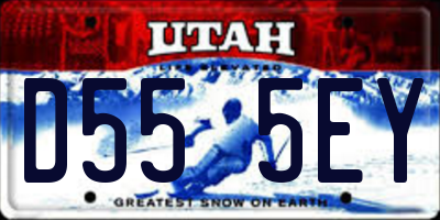 UT license plate D555EY