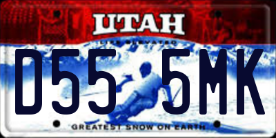 UT license plate D555MK