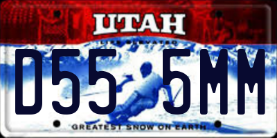 UT license plate D555MM