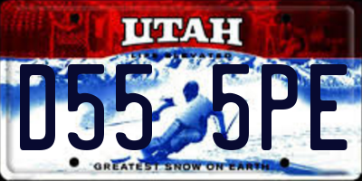 UT license plate D555PE