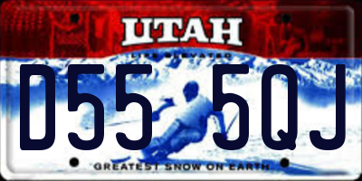 UT license plate D555QJ