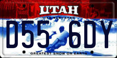 UT license plate D556DY