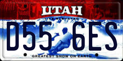 UT license plate D556ES