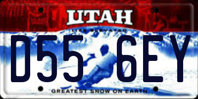 UT license plate D556EY