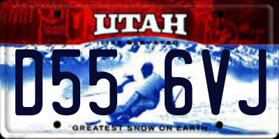 UT license plate D556VJ